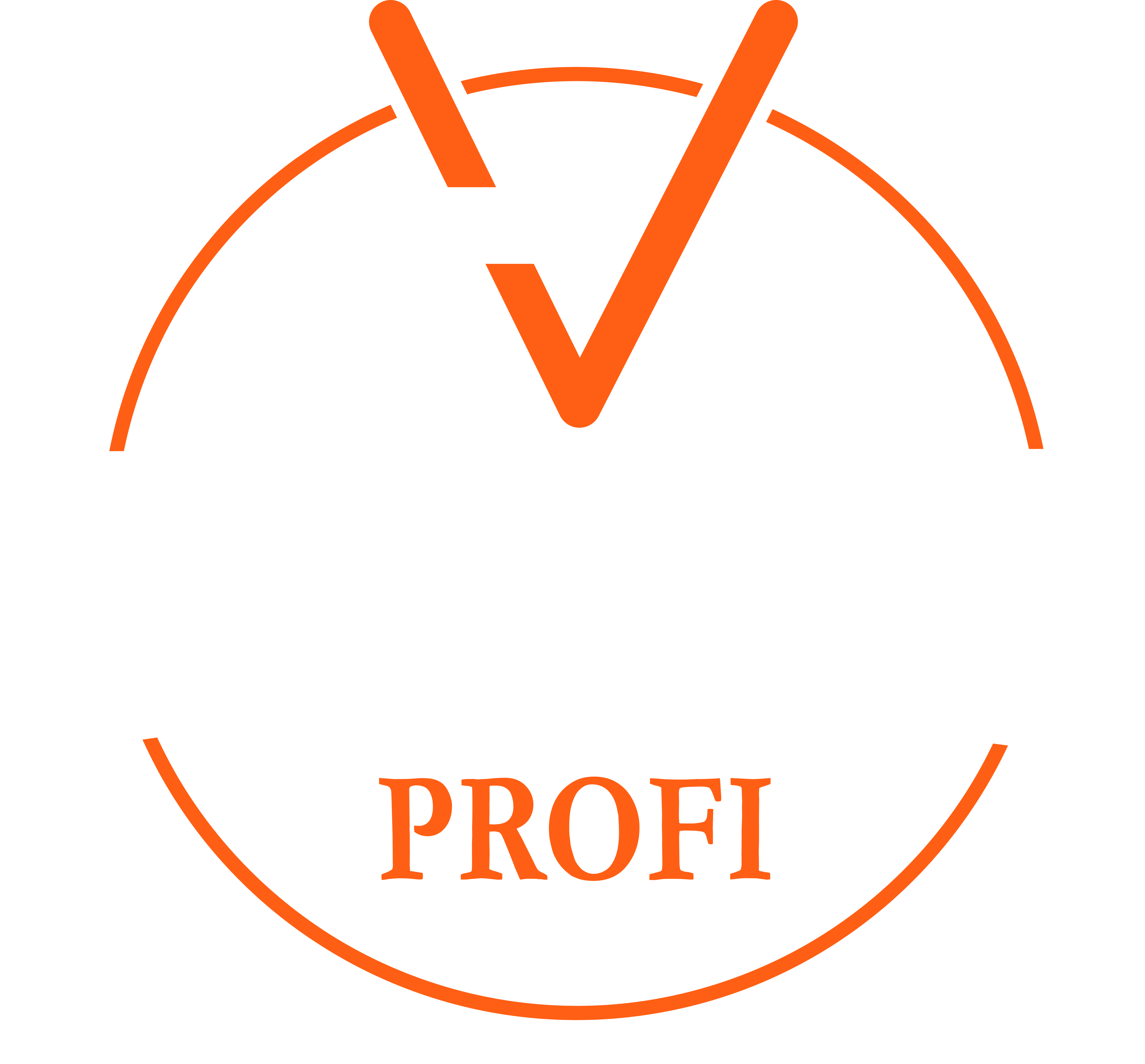 Strahlmittel Profi Gmbh Logo
